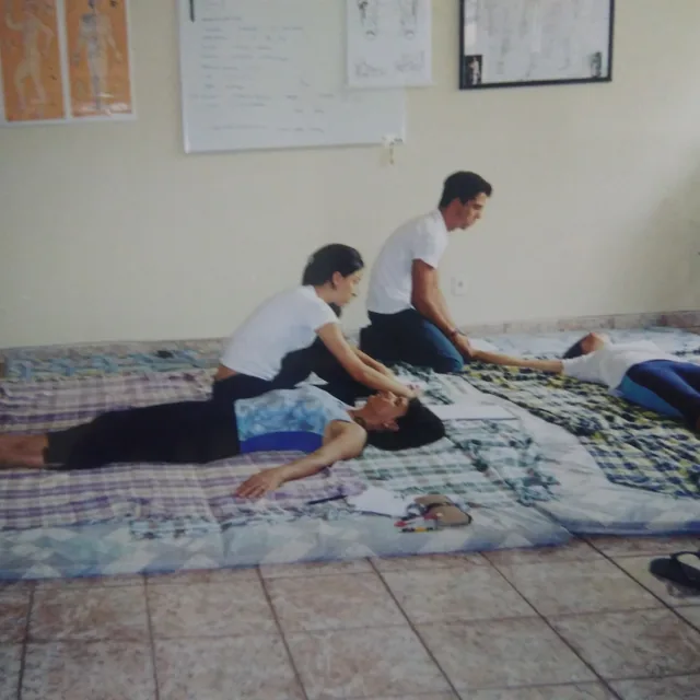 Prática de terapia manual, Treinamento de técnicas de toque sobre futon